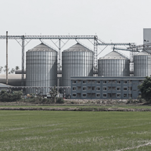 Industria Alimentaria